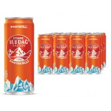 ORANGE 24X330ML ULUDAG